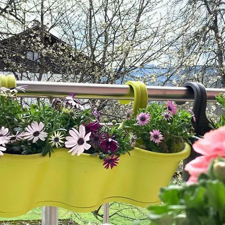 Apartamento Apple Garden ****