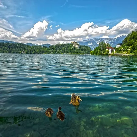 Apartmán Apple Garden **** *