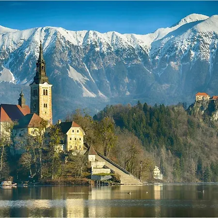 Apple Garden **** Bled