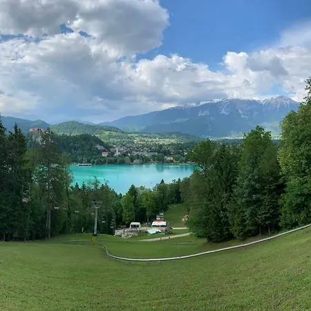 Apple Garden **** Bled