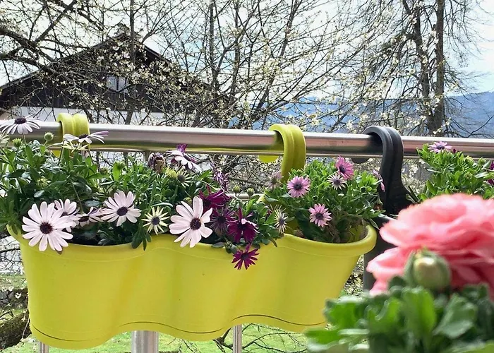 アパート Apple Garden ****