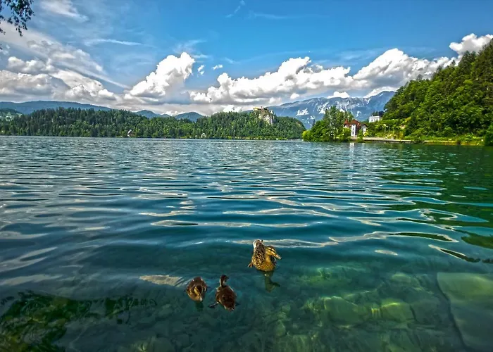 アパート Apple Garden **** *