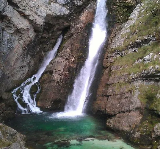 Apple Garden **** ブレッド